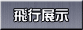 飛行展示